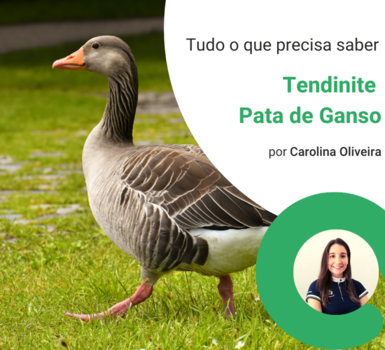 blog – pata de ganso