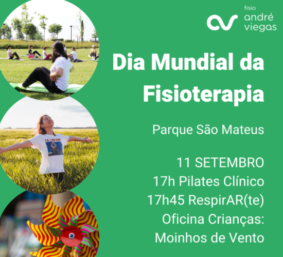 blog dia mundial fisio (1)